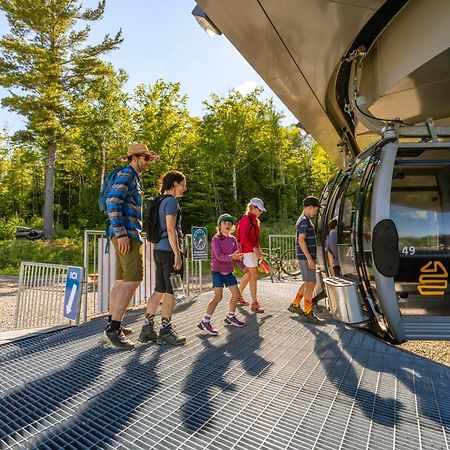 Les Chalets Du Massif De Charlevoix بيتيت ريفري ساينت فرانكويس المظهر الخارجي الصورة